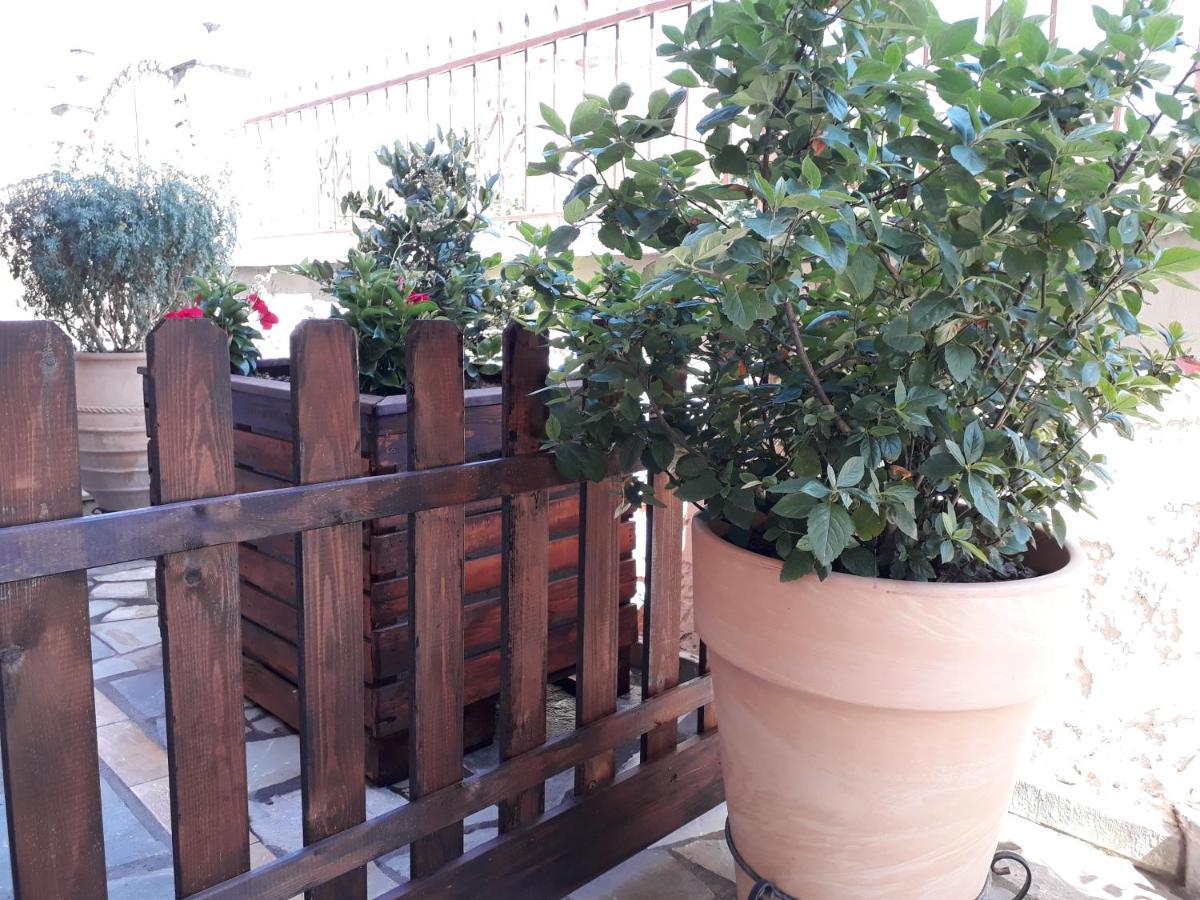 Olympus Vacation Paradise Apartment Litóchoron Ngoại thất bức ảnh